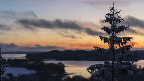 Snow covered pine tree, golden sunset close up. Timelapse. 4K, 25p Vídeos de archivo 86890370