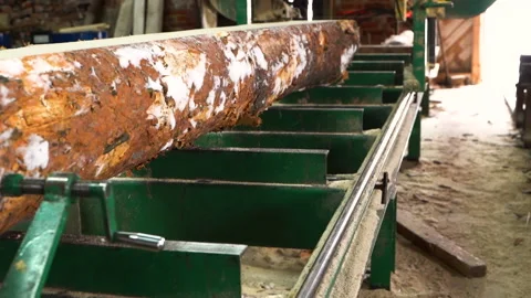 Snow covered pine tree log on the saw in sawmill for processing into planks Stock Footage 231108833