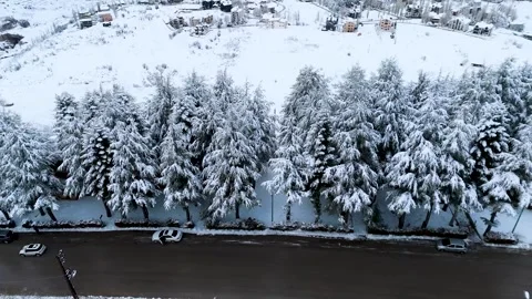 Snow Covered Pine Trees Along Road in Kfardebian Lebanon Aerial Winter 스톡 동영상 331101729