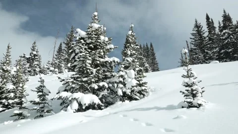 Snow covered pine trees and drifting clouds Stock Footage 152001723