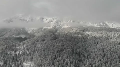 Snow covered pine trees and mountains Video stock 166496834