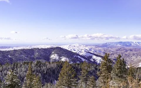 Snow covered pine trees on the background of mountain peaks. Panoramic view o Stock Photos