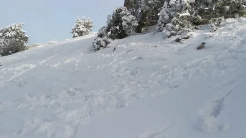 Snow-covered pine trees on the mountain Stock Footage 145272576
