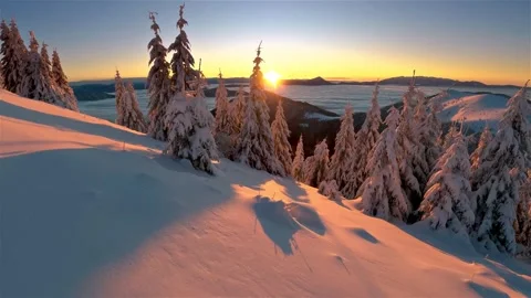 Snow-Covered Pine Trees on a Mountain Slope at Golden Sunrise Stock-Footage 341210449