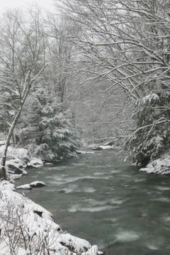 Snow covered pine trees on the side of a river in the winter. Stock Photos