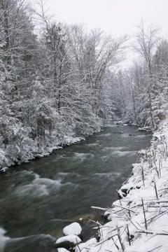 Snow covered pine trees on the side of a river in the winter. Stock Photos