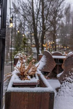 Snow Covered Planter with Winter Plants on Cozy Outdoor Cafe Terrace Fotos de archivo