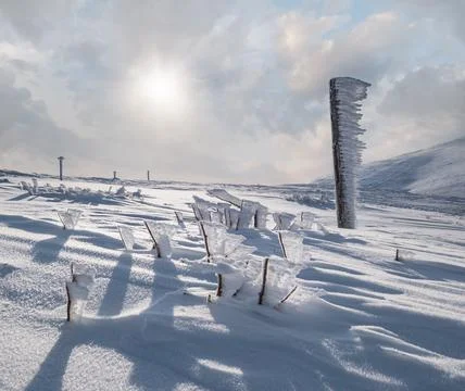 Snow covered pointer and bushes near path on snowy mountain plateau and sun.. Stockfoto's