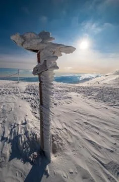 Snow covered pointer near path on snowy mountain plateau and sunshine in sky. 写真素材