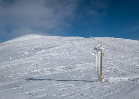 Snow covered pointer near path on snowy mountain plateau. Magnificent sunny d Foto stock