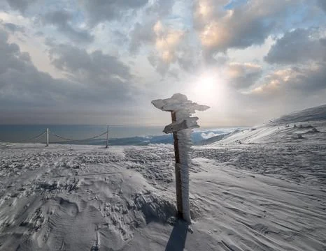 Snow covered pointer near path on snowy mountain plateau and sunshine in sk.. Stock Photos