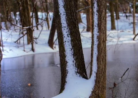 Snow covered pond Stock Photos
