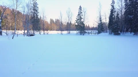 Snow covered pond in winter Stock Footage 264485622