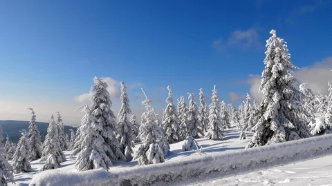 Snow covered railing and trees Stock Footage 86116160