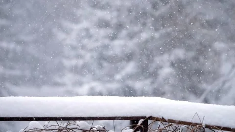 Snow covered railing with snow on it Stock Footage 305993023