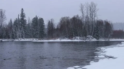 Snow-covered river bank against the background of trees and snowfall. Stock Footage 221294271