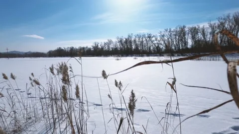 Snow-covered river in the park Stock Footage 149565011