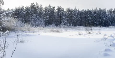 Snow-covered river Stock Photos