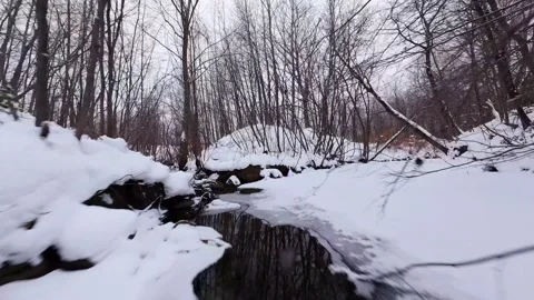 Snow covered river in quiet winter forest Stock Footage 323338759