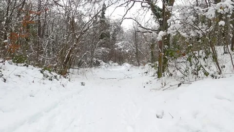 Snow covered road Stock Footage 146341806