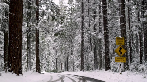 Snow covered Road at the Forest Stock Footage 150675976