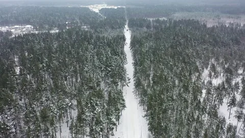 Snow-covered road in forest Stock Footage 207490225