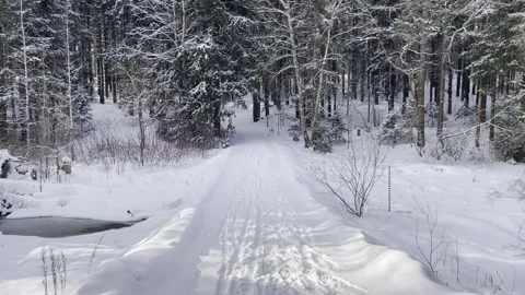 Snow covered road in mixed winter forest. Video stock 265088385