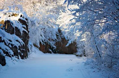 Snow-covered road Stock Photos