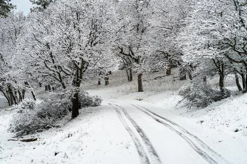 Snow Covered Road Stock Photos