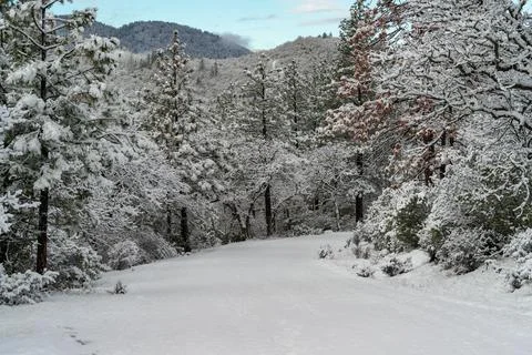 Snow Covered Road Stock Photos