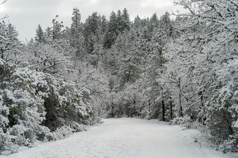 Snow Covered Road Stock Photos