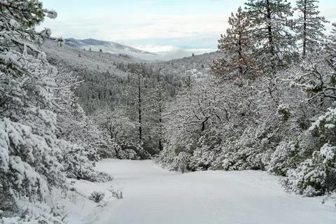 Snow Covered Road Stock Photos