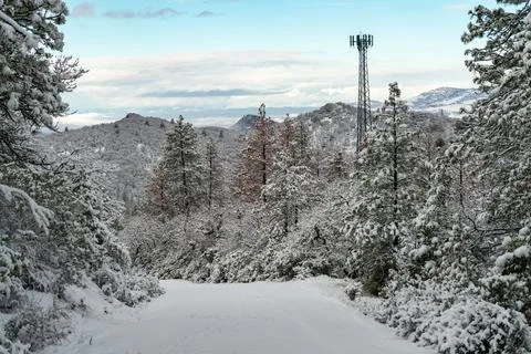 Snow Covered Road Stock Photos