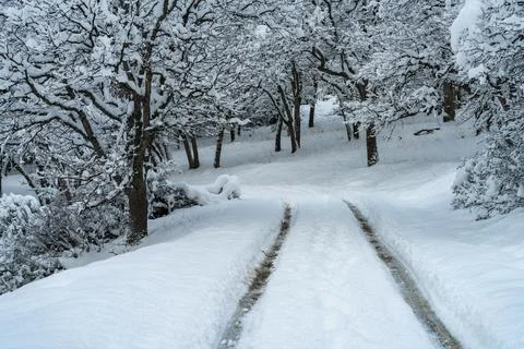 Snow Covered Road Stock Photos