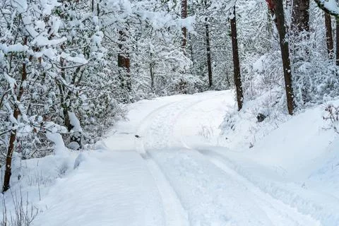 Snow Covered Road Stock Photos