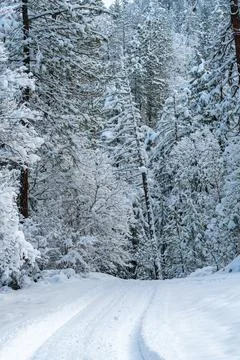 Snow Covered Road Stock Photos