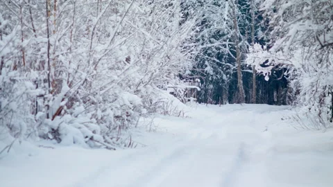 Snow covered road in Riga. Baltic streets in winter in the cold. Stock Footage 232230898