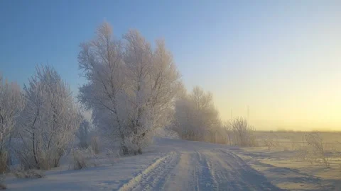 Snow-covered road at sunset Stock Footage 274894270