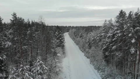 Snow-covered road through the forest in winter 스톡 동영상 157828469