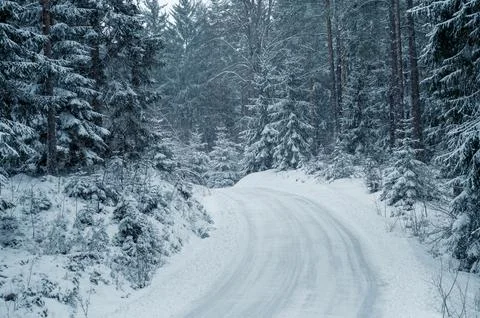 Snow-covered road trough winter forest Stock Photos