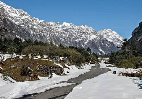 Snow covered road to zero point in Yumthang valley of Gangtok, Sikkim, India Stock Photos