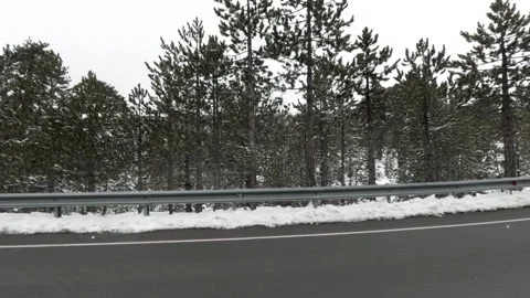 Snow-covered roads winding through evergreen trees in winter Stock Footage 301598968