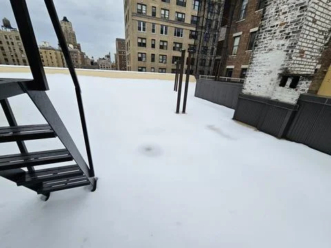 Snow-covered rooftop with black fire-escape stair Stock Photos