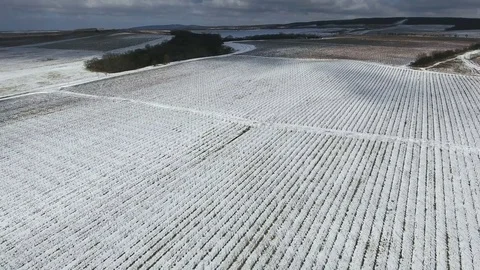 Snow-covered rural farm field, aerial view Stock Footage