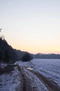 Snow-covered rural path with icy tire tracks alongside a frosty forest unde.. Stock Photos