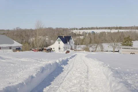 Snow-Covered Rural Road Leading to a Country House in Winter 스톡 사진