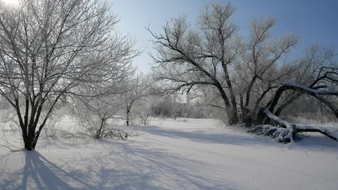 Snow covered rural view Stock Footage 100849436