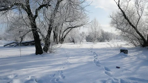Snow covered rural view Stock Footage 100849818