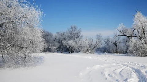 Snow covered rural view Stock Footage 100850052