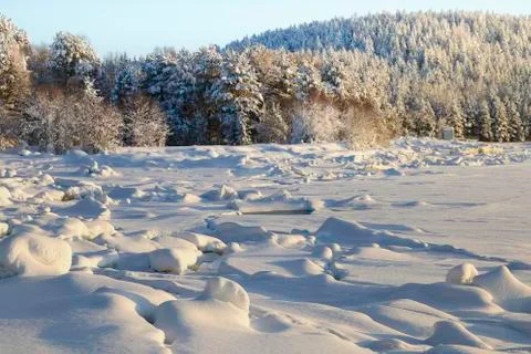 Snow covered shore with forest area Stock Photos